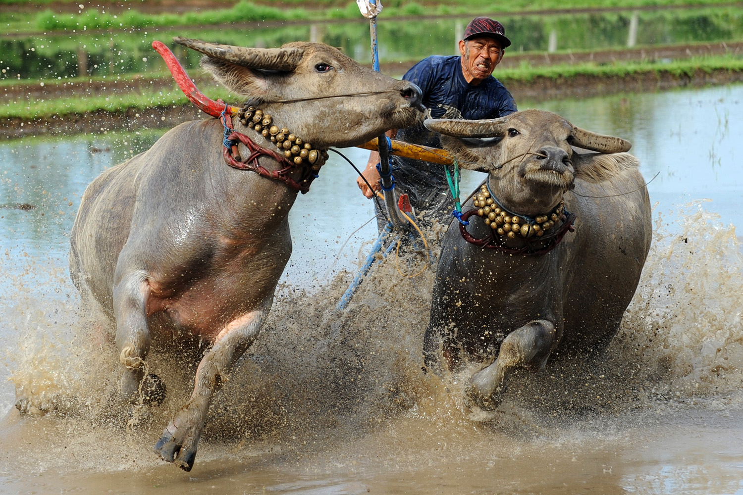 © SONNY TUMBELAKA / AFP
